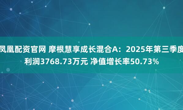 凤凰配资官网 摩根慧享成长混合A:2025年第三季度利润3768.73万元 净值增长率50.73%