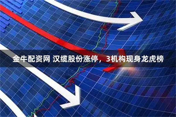 金牛配资网 汉缆股份涨停，3机构现身龙虎榜